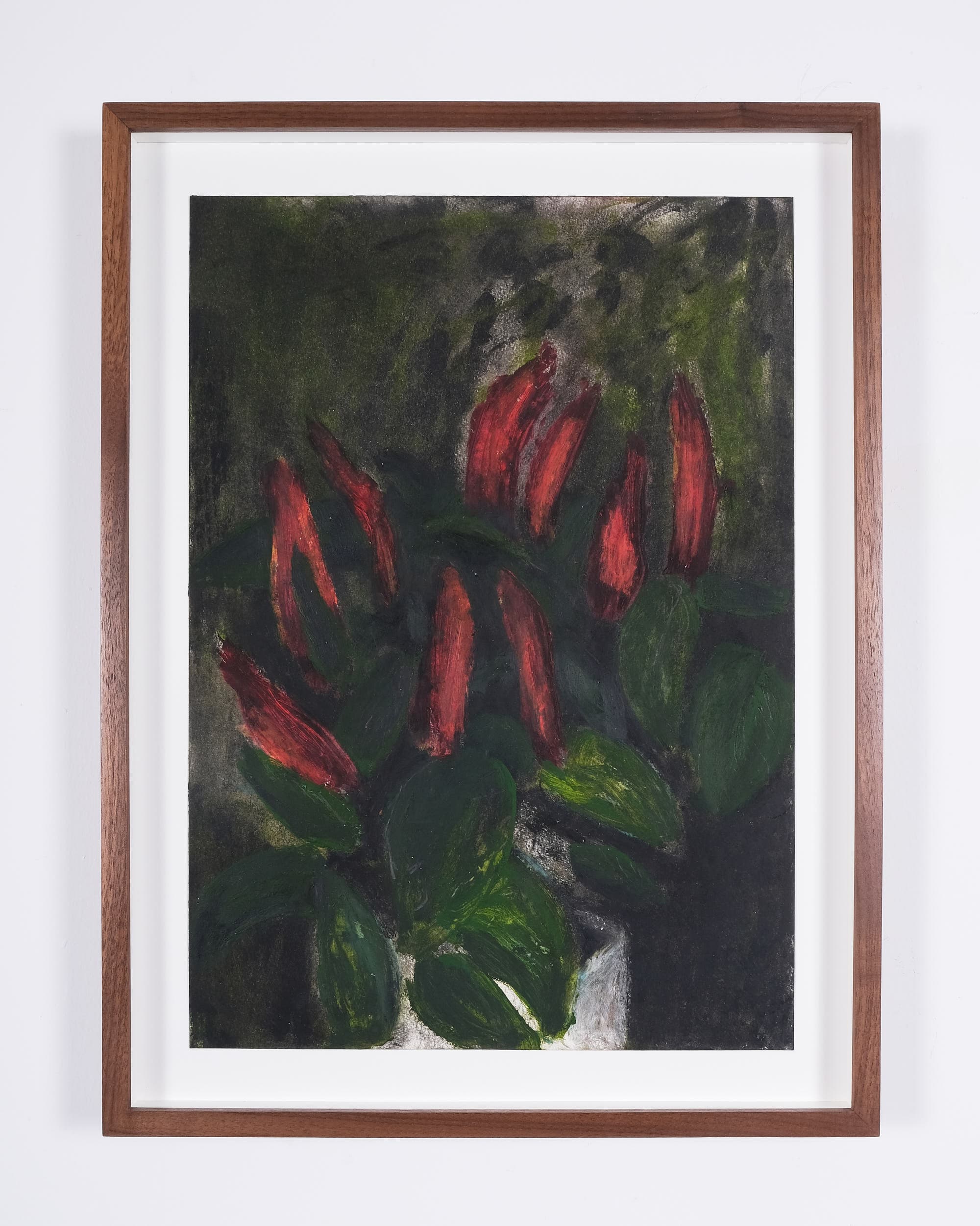 Capsicum annuum (Ornamental pepper)