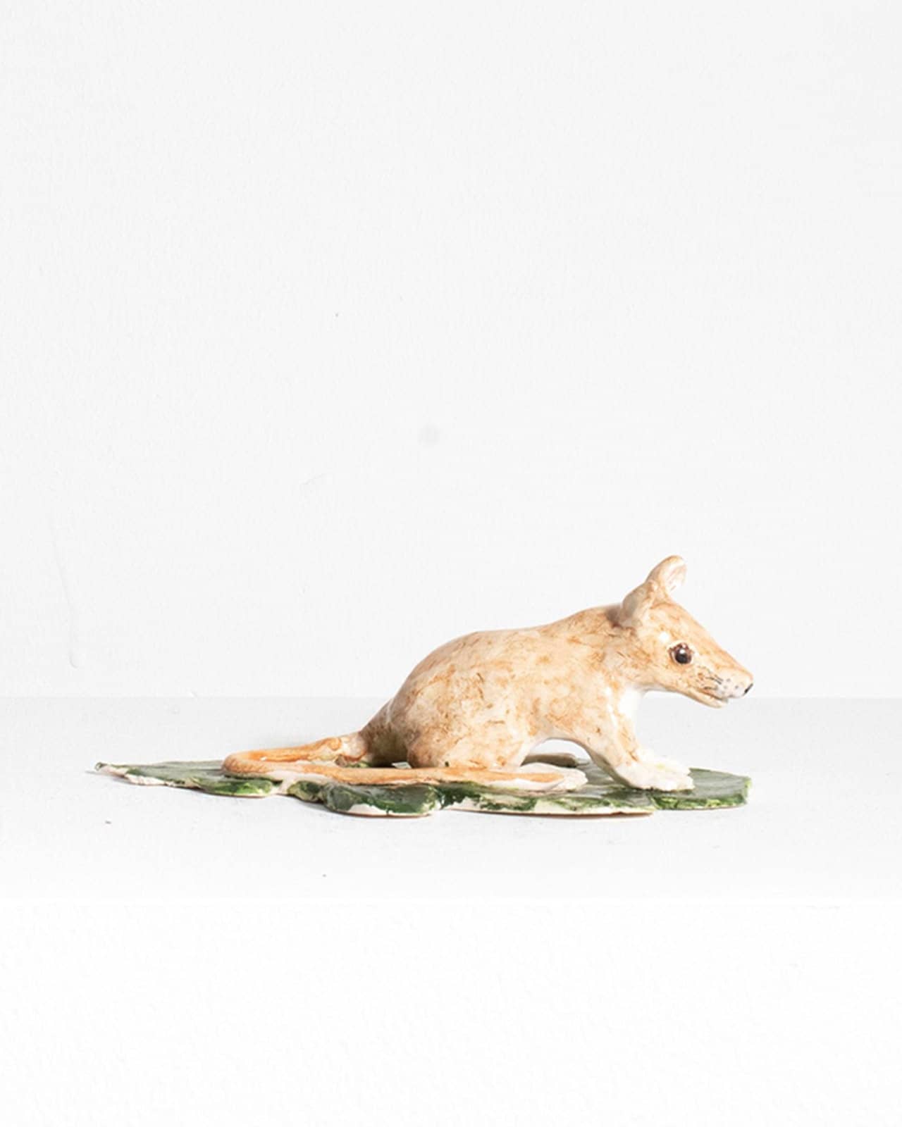 Large light brown mouse on an oak leaf