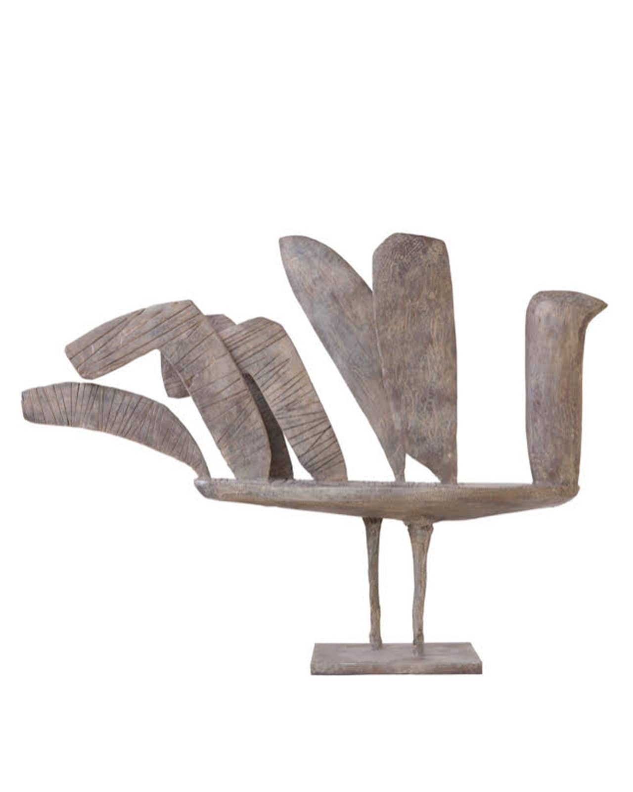 Barcelona Bird