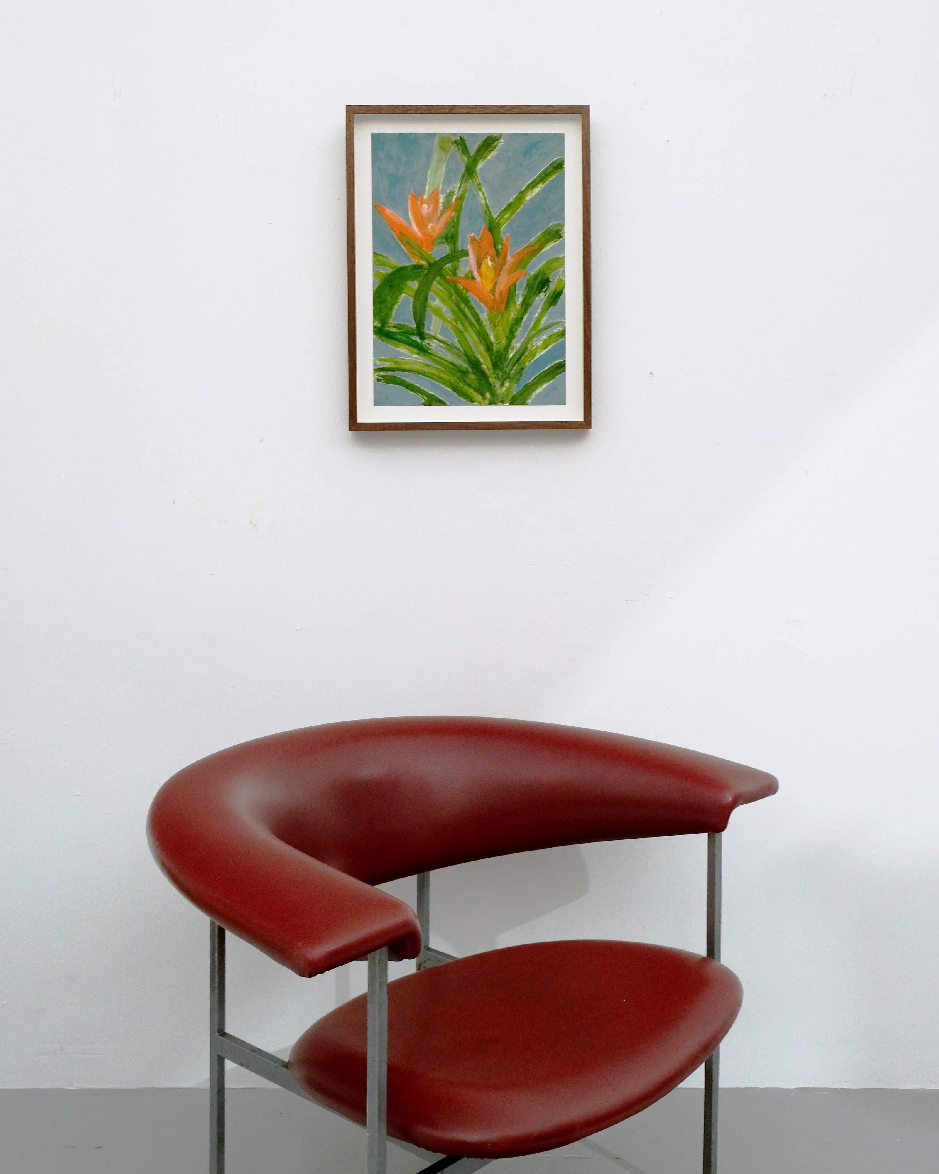 Guzmania lingulata minor
